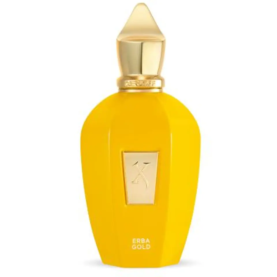 ERBA GOLD EDP 100 ML  2