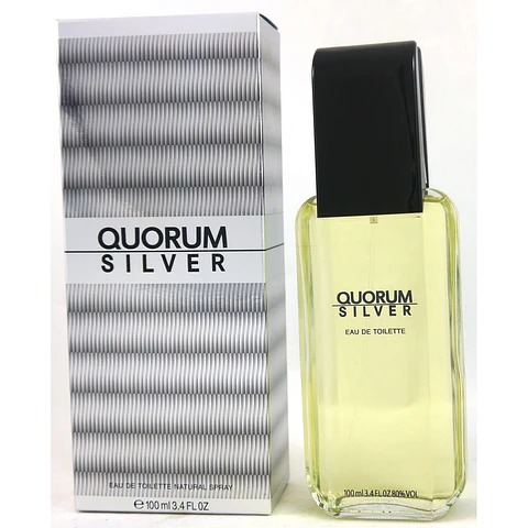 QUORUM SILVER EDT 100 ML 