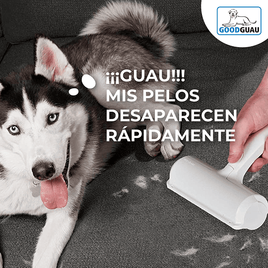 Cepillo Secador Quita Pelos Mascotas Perro Gato Saca Pelusas