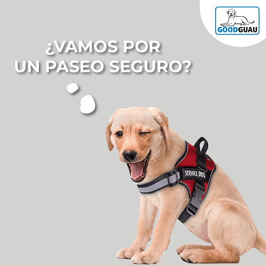 Arnés Reforzado Perro - Service Dog (Tallas y Colores) - Image 9