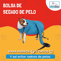 Secadora de Pelo - Image 2