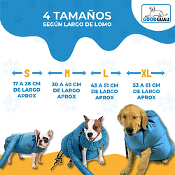 Secadora de Pelo - Image 4