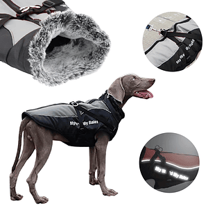 Parka Premium - con chiporro, Tamaño XL