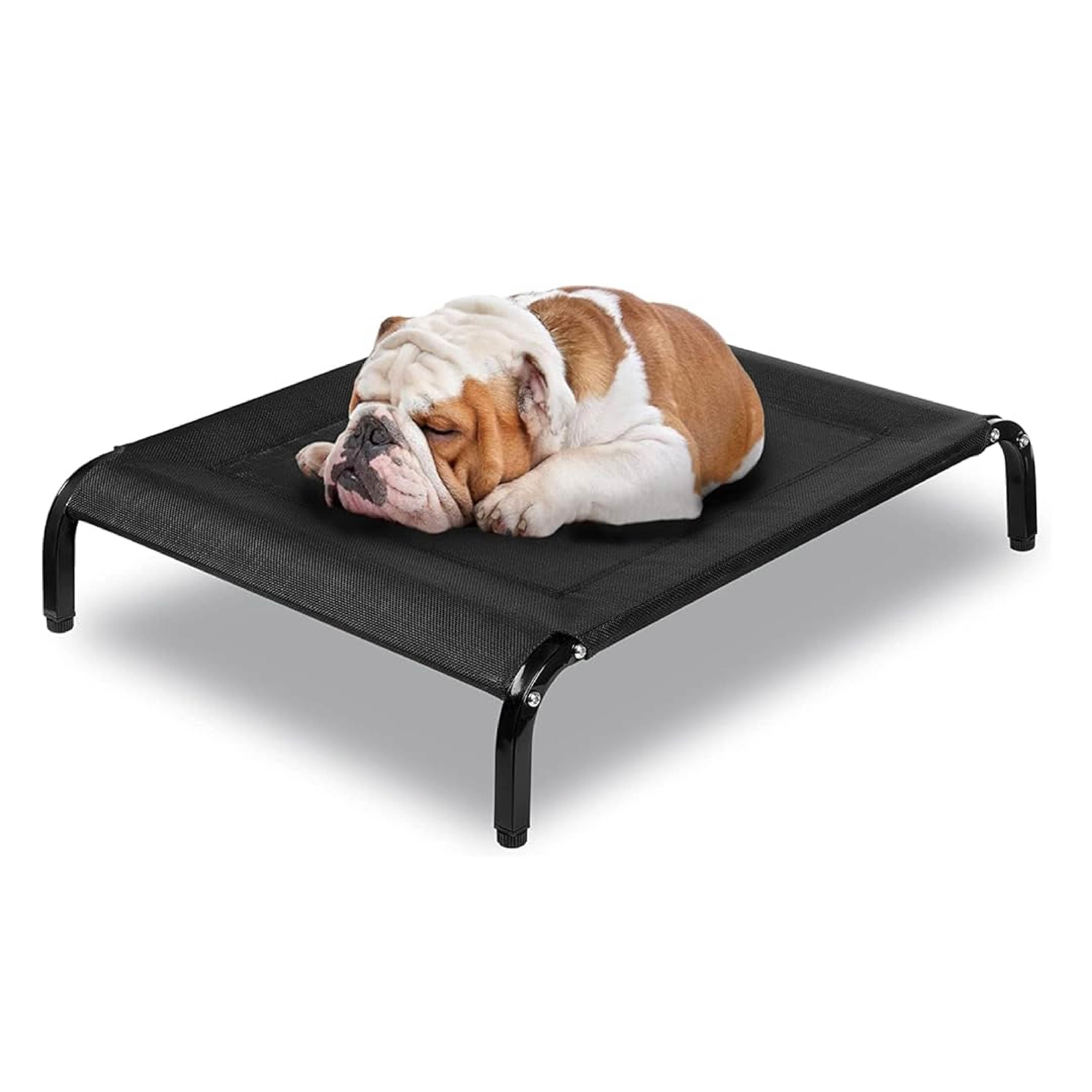Cama Elevada Refrescante Perro Grandes L
