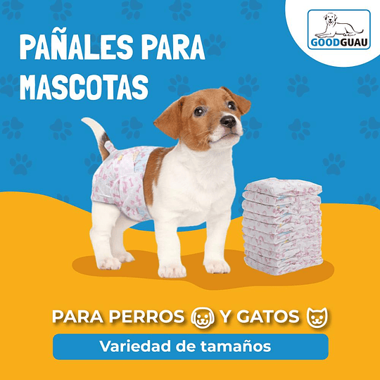 10 Pañales Para Perro - Image 2