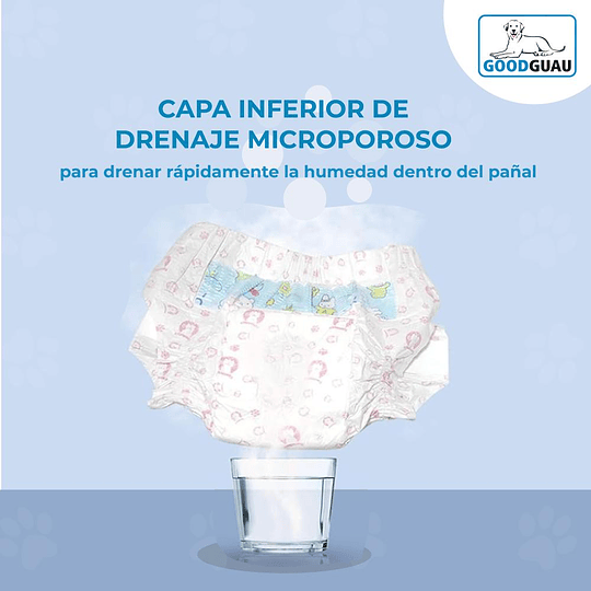 10 Pañales Para Perro - Image 4