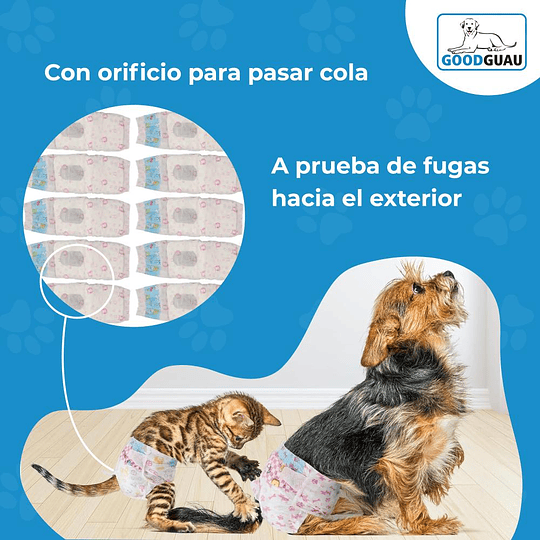 10 Pañales Para Perro - Image 6
