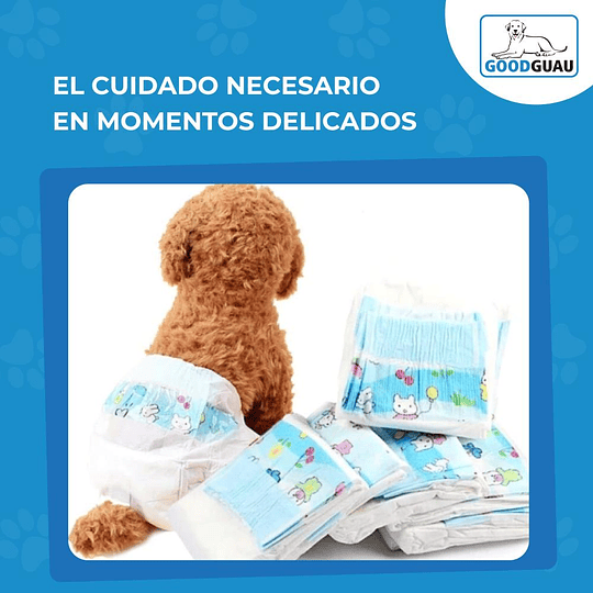10 Pañales Para Perro - Image 7
