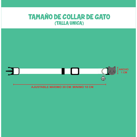 Placa de identificación + collar diseño FELIX