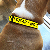 Collar amarillo de alerta para perro "NO TOCAR"