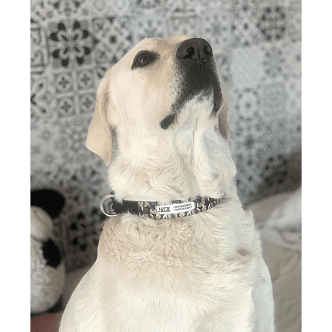 Collar de identificación para perro diseño THOR