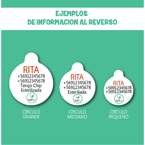 Placa de identificación diseño Especial con Inteligencia Artificial