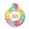Placa de identificación diseño  ZEUS