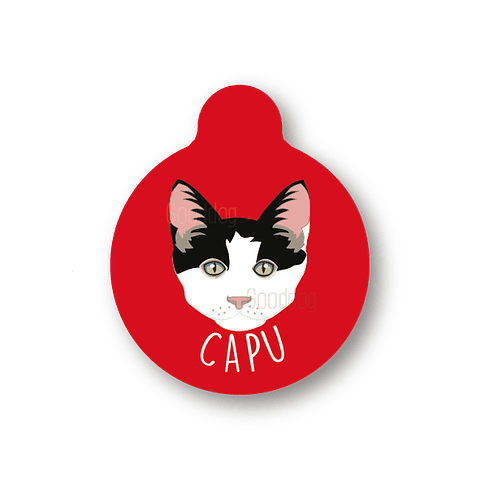 Placa de identificación diseño  CAPU