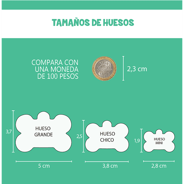 Placa de identificación diseño  LORO 2