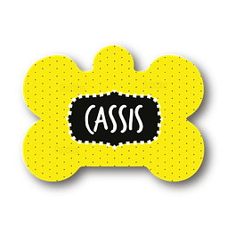 Placa de identificación diseño  CASSIS