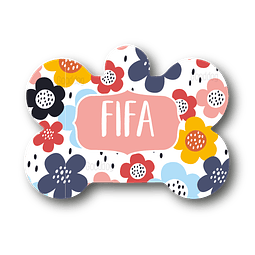Placa de identificación diseño  FIFA