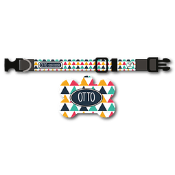 Placa de identificación + collar diseño OTTO