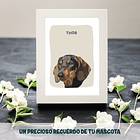 Ilustración de mascotas (Entrega digital) 1