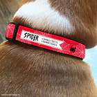 Collar de identificación para perro diseño SPIDER 2