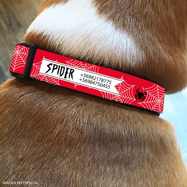 Collar de identificación para perro diseño SPIDER 2