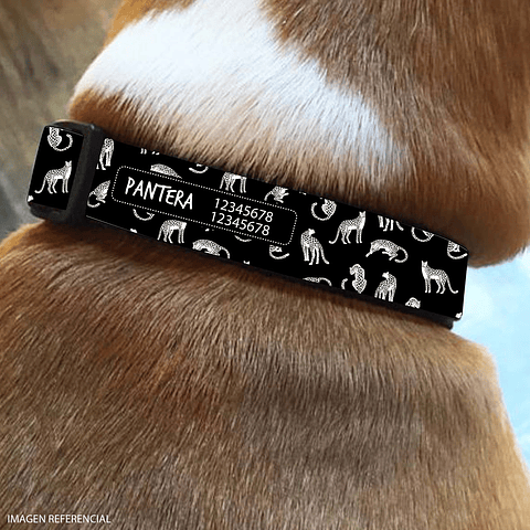 Collar de identificación para perro diseño PANTERA