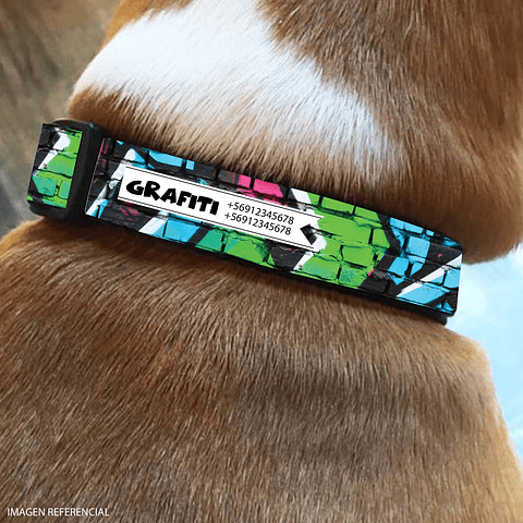 Collar de identificación para perro diseño GRAFITI