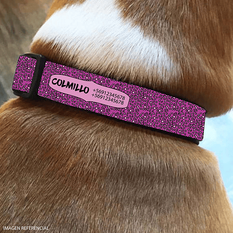 Collar de identificación para perro diseño COLMILLO