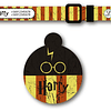 Placa de identificación + collar diseño HARRY