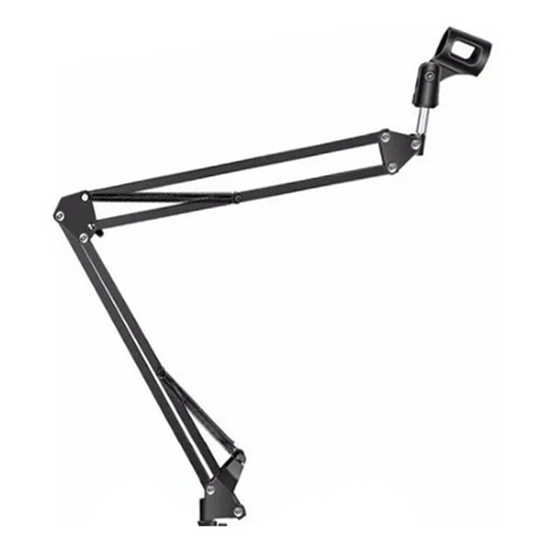 Soporte Brazo de Micrófono Ajustable AUDIO PRO 1