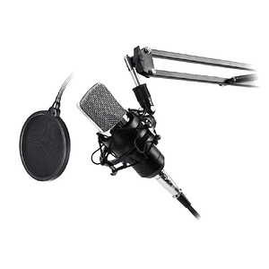 Kit Micrófono para Grabación Home Studio AP02036 AUDIO PRO