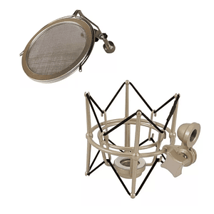 Micrófono Condensador DBG996 RECORDING