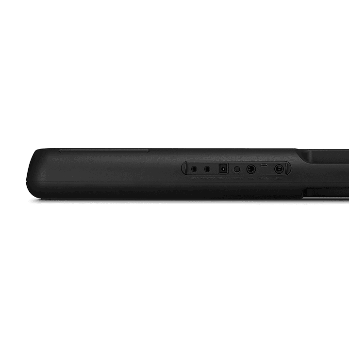 Teclado 61 Teclas Negro LK-S250 CASIO 5