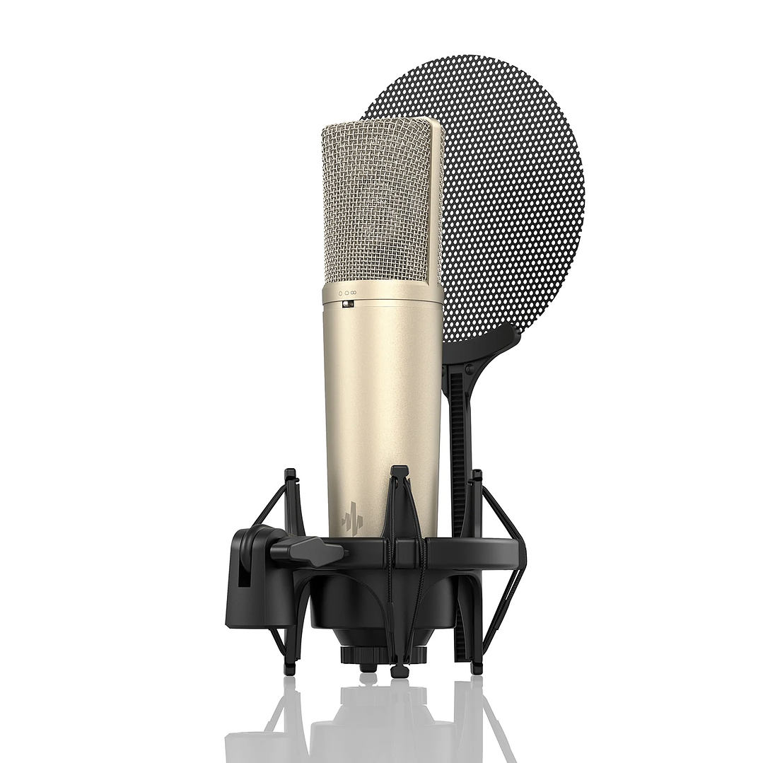 Microfono Condensador Diafragma Grande DC87 EC2802 Donner 2