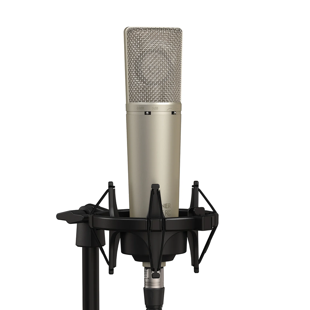 Microfono Condensador Diafragma Grande DC87 EC2802 Donner 3