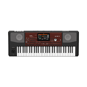 Teclado 61 Teclas Professional Arranger PA700 Korg