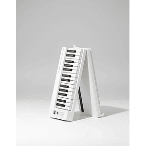 Teclado Digital Plegable 61 Teclas con Bolso DP-06 EC6633 DONNER