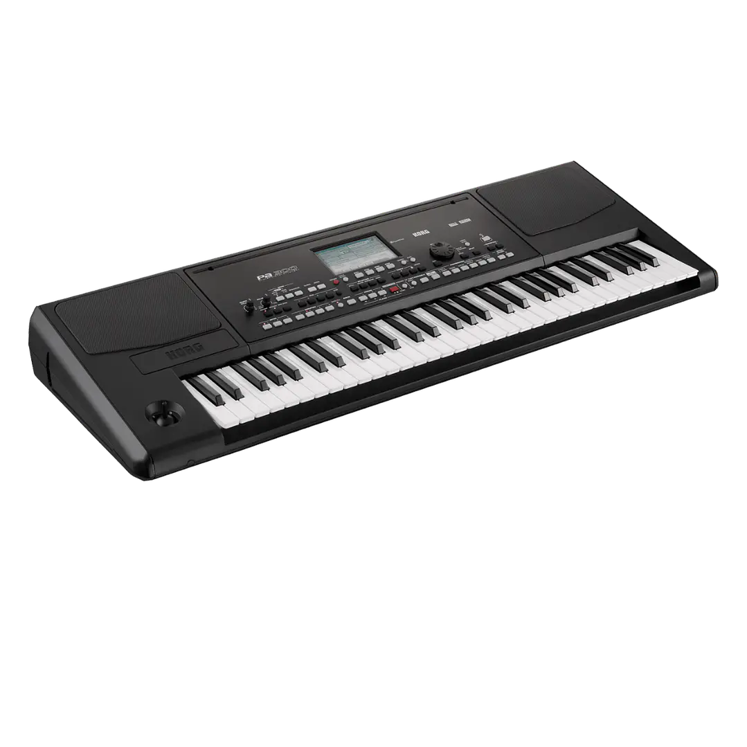 Teclado Arranger 61 Teclas PA300 KORG 2
