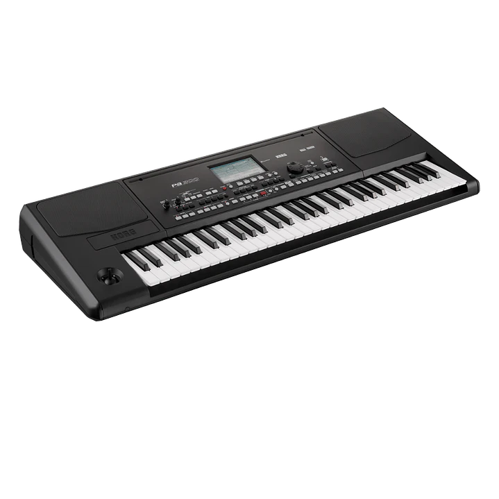 Teclado Arranger 61 Teclas PA300 KORG 2