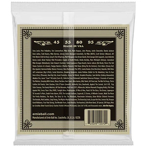 Cuerdas bajo acustico ernie ball 2070 Phosphor Bronze  45-95