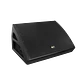  Monitor de Piso SKP 300W SKM-10A MKII - Miniatura 2