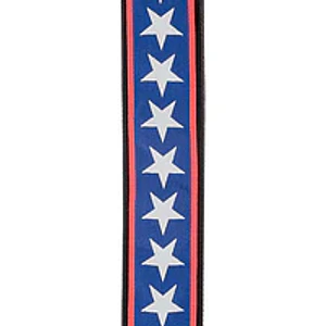 Correa/Strap Polyester Estrellas Azul/Blanco A10 DADDARIO