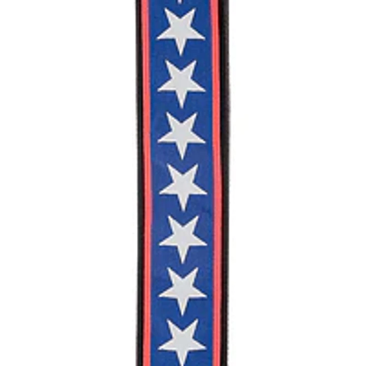 Correa/Strap Polyester Estrellas Azul/Blanco A10 DADDARIO 2