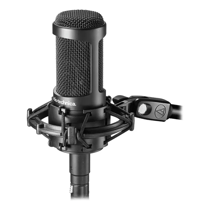 Micrófono condensador Audio-Technica AT2035  3