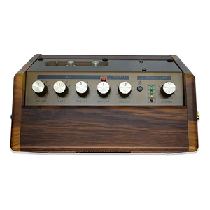 Amplificador guitarra electroacústica y voz Leonard 15W color marrón 15LNDGV
