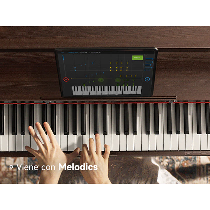 Piano digital Donner con 88 teclas color nogal Oura R300 4