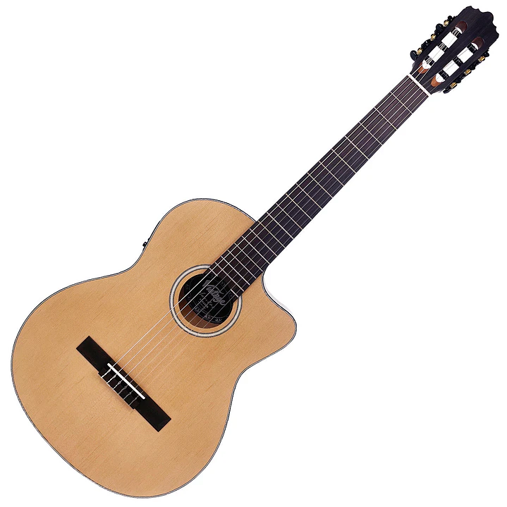  Guitarra electroacústica Slim Body Vintage Santos VSE440N 1