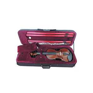 Violín Stradella 4/4 tapa pino Fully Carved MV141544