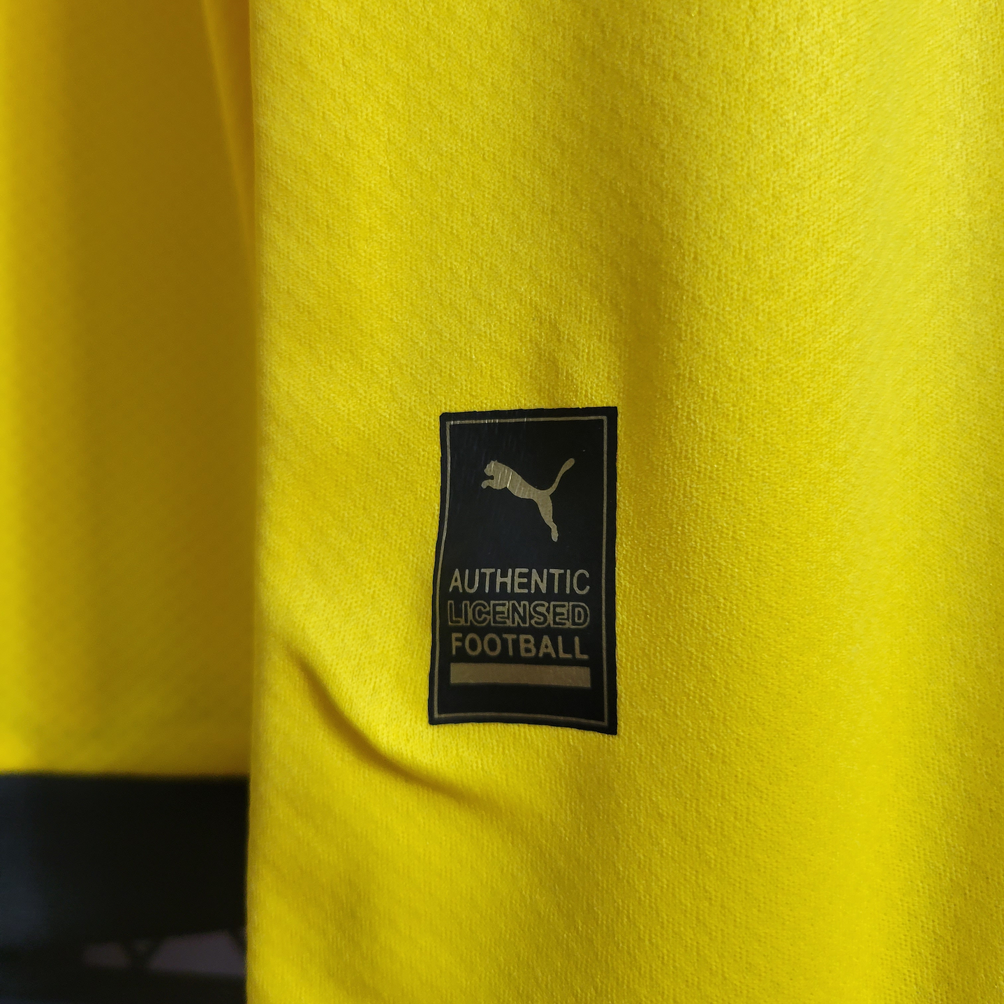 BORUSSIA DORTMUND HOME 22-23 MANGA LONGA 7