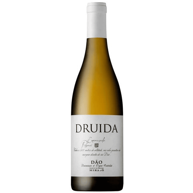 Druida Encruzado Reserva Branco 2022